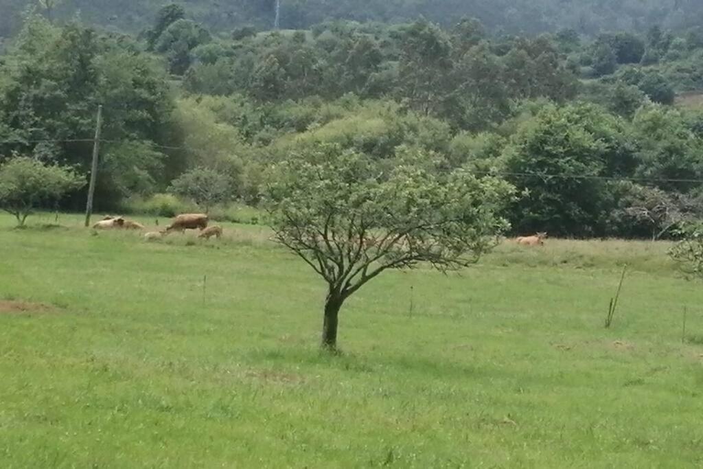 La Riera  Apartamento En Casa Rural Con Amplio Jardin A 5 Min De La Playa Situacion Inmejorable מראה חיצוני תמונה