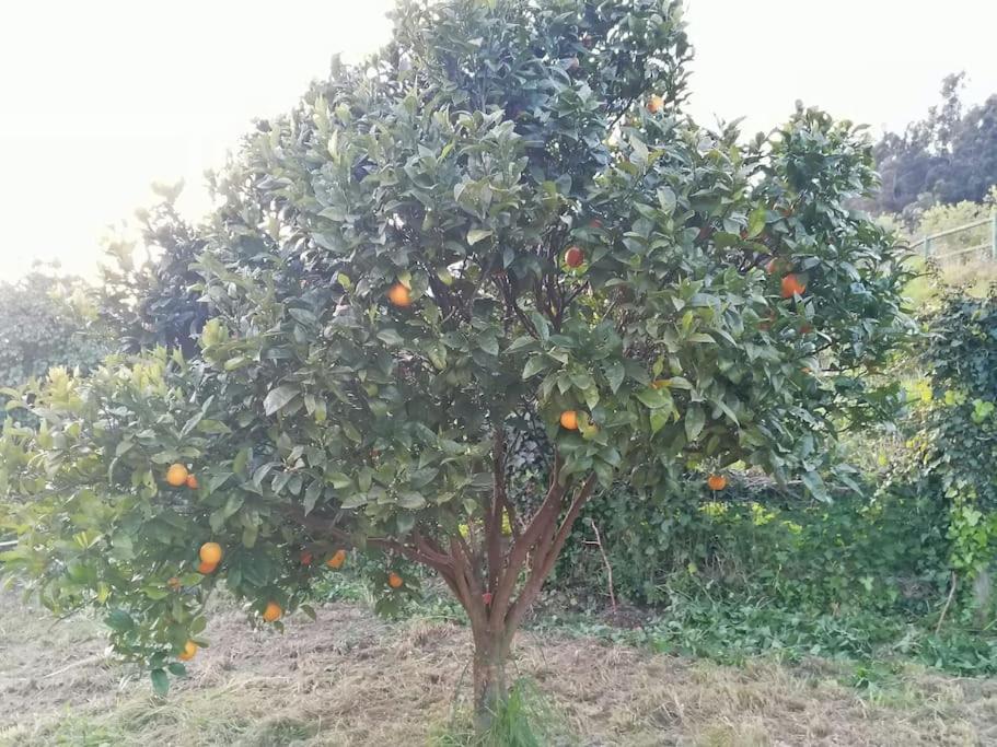 La Riera  Apartamento En Casa Rural Con Amplio Jardin A 5 Min De La Playa Situacion Inmejorable מראה חיצוני תמונה